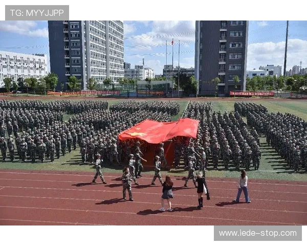 新葡国际京娱乐：多平台兼容性带来的便捷体验与操作优化建议