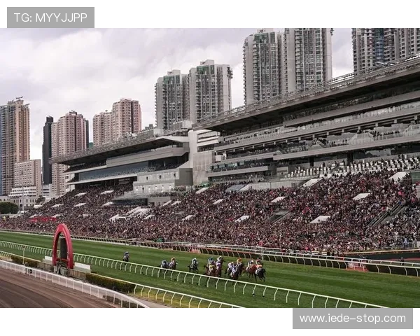 hkjc网娱乐：香港赛马会在线娱乐平台最新优惠活动与会员专属福利介绍
