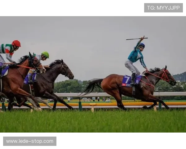 掌握赛马会网页版最新动态与优惠活动,享受丰富多彩的线上赛马娱乐体验