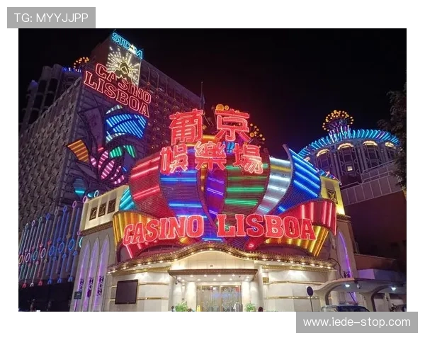 葡京娱乐场照片揭秘赌场内部布局与特色娱乐区域的详细图片介绍